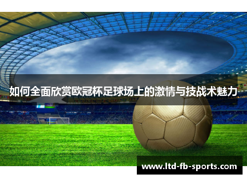 如何全面欣赏欧冠杯足球场上的激情与技战术魅力