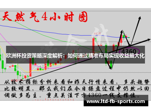 欧洲杯投资策略深度解析：如何通过精准布局实现收益最大化