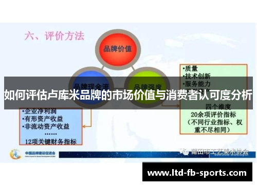如何评估卢库米品牌的市场价值与消费者认可度分析