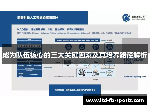 成为队伍核心的三大关键因素及其培养路径解析